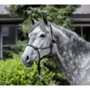 USG 15050024 Knot Headcollar Braided Noseband with Rhinestones Black Shetty/Pony