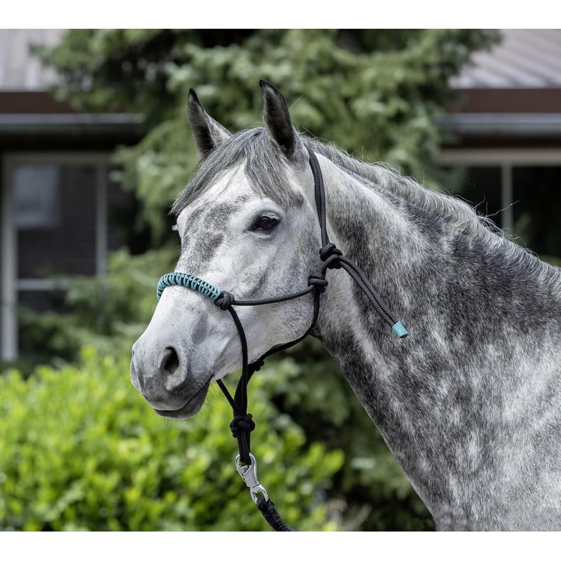 USG 15050024 Knot Headcollar Braided Noseband with Rhinestones Black Shetty/Pony