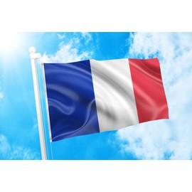 DMSE France French National Flag 3X5 Ft Foot 100% Polyester 100D Flag UV Resistant -