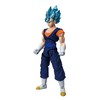 Dragon Ball Bandai Evolve Figures Super Saiyan God Super Saiyan