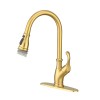FLG Single Hole Hot Cold Water Mixer Sink Pull Out