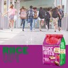 RiiCE THE BITES Puffed Brown Rice Bites Pack of 4