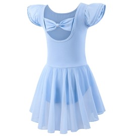 Mecceos Ballet Leotards with Skirt for Toddler Girls Dance Ruffle Ballerina Dresses Outfits (Blue, 4-6 Years, MEAM-251)