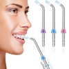 Replacement Heads for Waterpik Flosser 3 Pack Plaque Remove Brisles