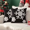 MIULEE Pack of 2 Christmas Decorative Snowflake Throw Pillow Covers