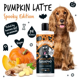 Bugalugs Pumpkin Latte Dog Shampoo with Aloe Vera & Panthenol (500 ml)