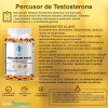 Precursor De Testosterona 90 Cáps Body Perfect Más Energía