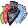 Unbranded Triangle Face Balaclava Scarf Neck Shield Sun Gaiter Headwear