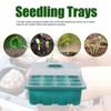 10Pcs Seedling Trays 12 Hole Transparent Adjustable Ventilated Seedling Starter