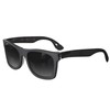 HAZARD 4 Flechette: Horn-Rimmed Sunglasses (Made in Italy) - Black