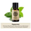 Akarz Aceites Esenciales De Menta (10ml * 1)