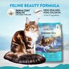 Addiction Salmon Bleu Grain-Free Dry Cat Food – Rich in