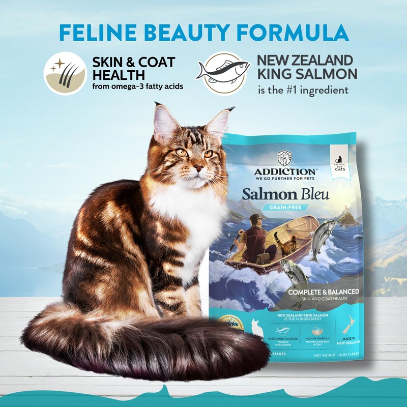 Addiction Salmon Bleu Grain-Free Dry Cat Food – Rich in
