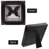 TOYANDONA Real Framed Butterfly Taxidermys Butterfly, Vintage Butterfly Specimen Display
