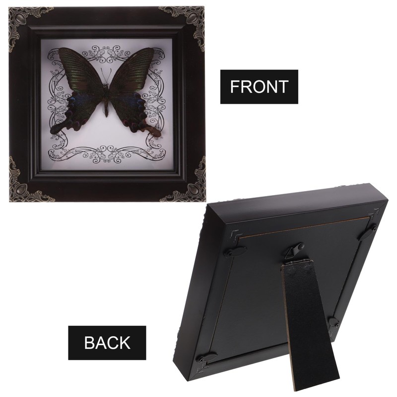 TOYANDONA Real Framed Butterfly Taxidermys Butterfly, Vintage Butterfly Specimen Display