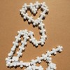 Mezclador magnético PTFE con barra de agitación magnética (8 x