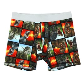 Bioworld Jurassic World Dinosaurs Multipack Boys Underwear, Boxer Briefs-Size-14/16 Multicolored