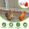 Enhon 12 Pack Chicken Nipples Waterer with 1/2'' PVC Tee