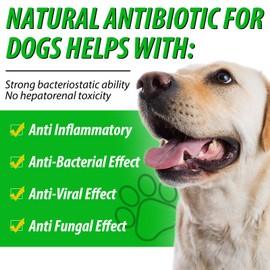 Dog Antibiotics, Natural Antibiotics for Dogs, Dog Multivitamin Herbal Supplements 60ml