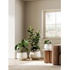 LE TAUCI Ceramic Plant Pots, Set of 2, 10 +