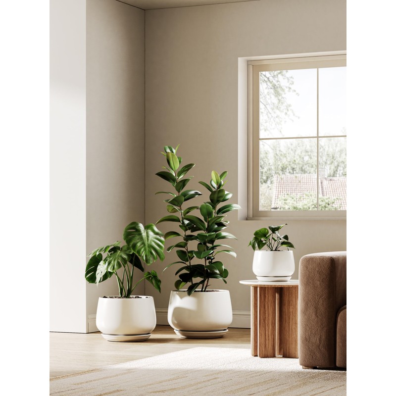 LE TAUCI Ceramic Plant Pots, Set of 2, 10 +