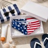 Men’s Swim Briefs for Beach & Pool – American Flag