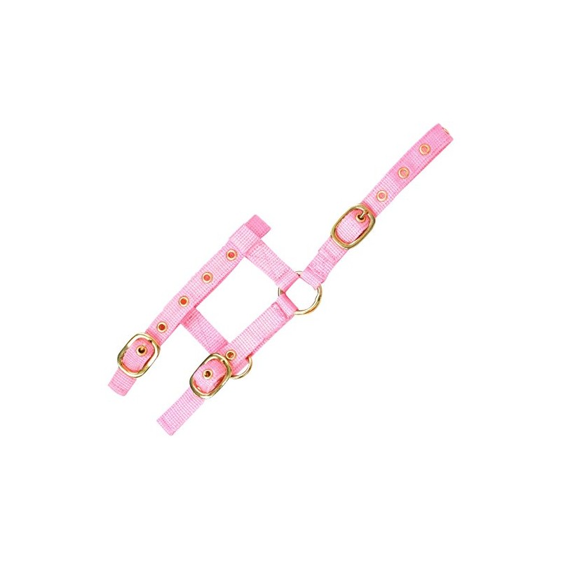 Adjustable Mini Halter Pink