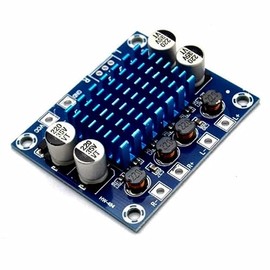 Digital Stereo Power Amplifier Module - 2 x 30W - XH-A232