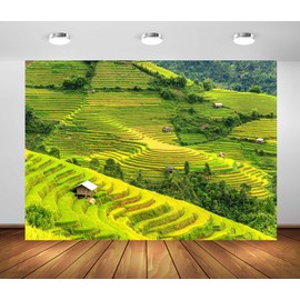 CORFOTO 7x5ft Fabric Green Rice Terraces Backdrop Vietnam Terraced Rice Field Nature Landscape Photography Background Countryside Scenery Background Nature Rural Outdoor Travel Photo Studio