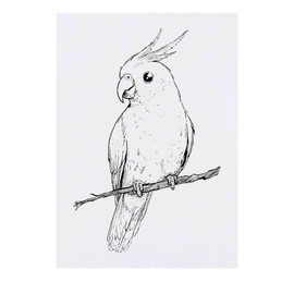 Azeeda 'Niedlicher Nymphensittich auf Ast' Temporäres Tattoo - Hautfreundlicher & Ungiftiger Abziehbild · Wasserfest (TO00082193)