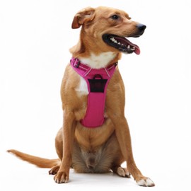 Doggie Design Venture Paw No Pull Dog Harness - Simple Adjustable Puppy Harness - Anti Pull Dog Collar for Walks and Outdoor Adventures - Wild Raspberry, L