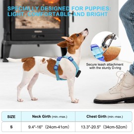 Visiklit Light Up Dog Harness for Small Dogs Rechargeable, LED Dog Vest Harness, Adjustable Illuminated Glow in Dark Dog Harness for Puppy Night Safety Walking 360° True Illumination-Blue