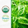 Wellness Grow Kit: Basil