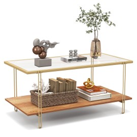 Costway Modern Glass-Top Coffee Table w/ Storage Shelf & Gold Steel Frame Living Room