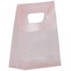 JAM Paper® Frosted Lunch Bags - 3" x 4" x