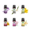 Floral Essential Oils Set, Aromatherapy Scented Oils Top 6 100%