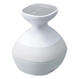 Panasonic EH-HE9G-S Scalp Beauty Salon Touch Type (Spiral) Silver Tone