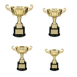 Customized Trophy Real Metal Cup Trophy in Gold or Silver Trophy Award, Engraved Corporate Trophy Cup Award - Available in 4 Sizes Free Trophy Plates Engraved Included on Awards and Trophies
