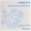 Aria Aria Ukulele For Strings AGS – 001
