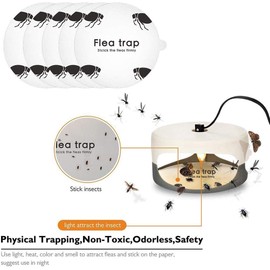 Flea Board, Catches More Flies, Protects Plants. Sticky Fly Traps for Home and Pet House (1)