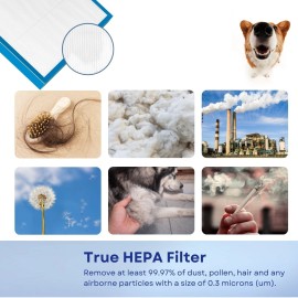 Nispira AF-20FL True HEPA Filter for HoMedics Total Clean AF-20FL, 1 Pack