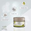 Snail Extract Anti-Ageing Face-Cream Concentrate for Day & Night -