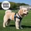RSYHVG Dog Lead Clips, Swivel Snap Hooks, Heavy Duty, Black,