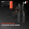 A-Premium Driver and Passenger Hood Hinges Compatible with Dodge Grand