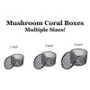 CD3DPrinting Mushroom Coral Boxes - Multiple Sizes Available! USA Made - 2 Inch