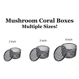 CD3DPrinting Mushroom Coral Boxes - Multiple Sizes Available! USA Made - 2 Inch