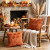 Benjia Autumn 20x20 Cushion Covers Set of 2, Fall Pumpkin