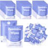 300 Pieces Bulk Feminine Wipes Individually Wrapped,Purple