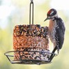 Audubon Park Nut & Fruit Snack Stack Wild Bird Food,
