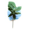 Medium Flower Typical Hair Accessories Flower Flamingo April Dance Flamingo